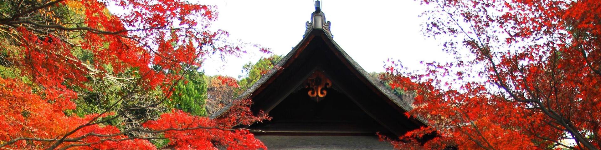 定光寺 (愛知県瀬戸市定光寺町)
