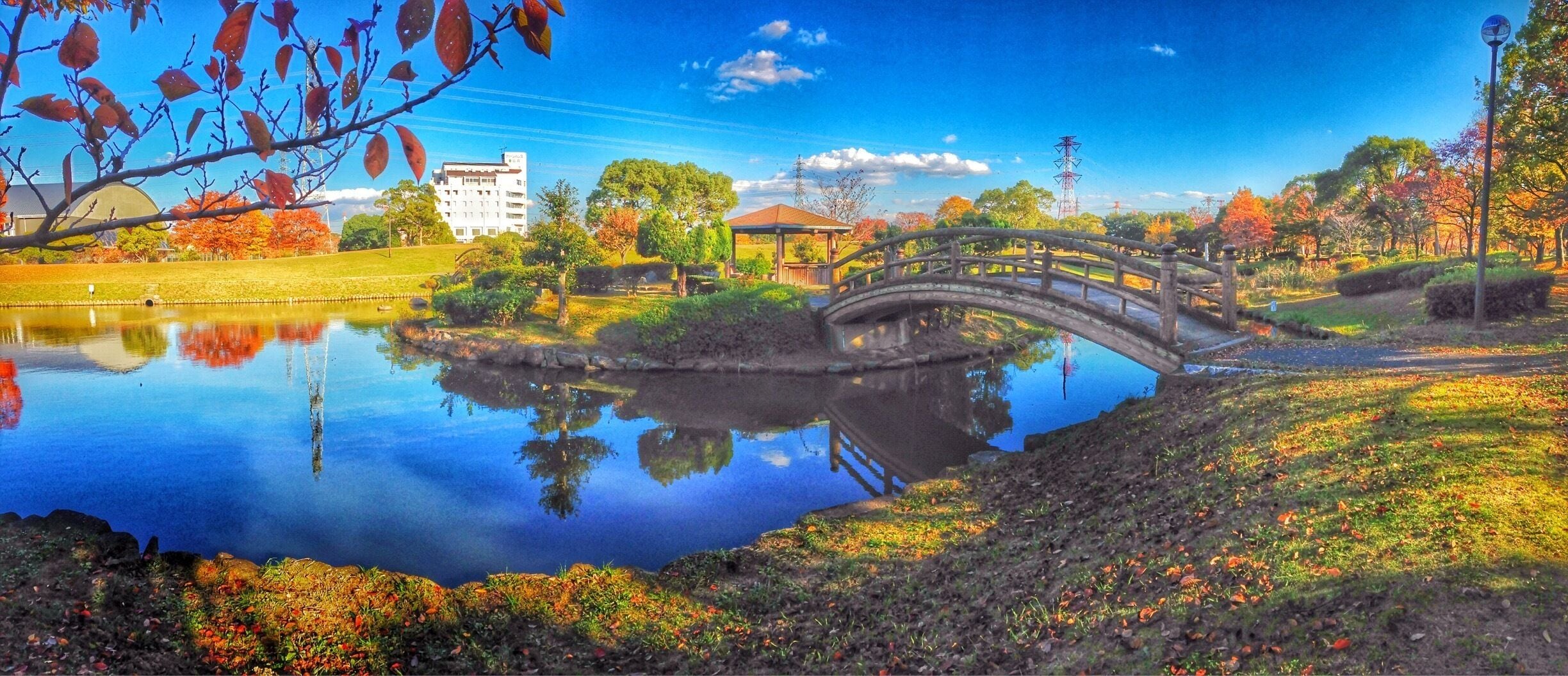 A park with a pond, a wooden bridge, autumn trees, and a building in the background.