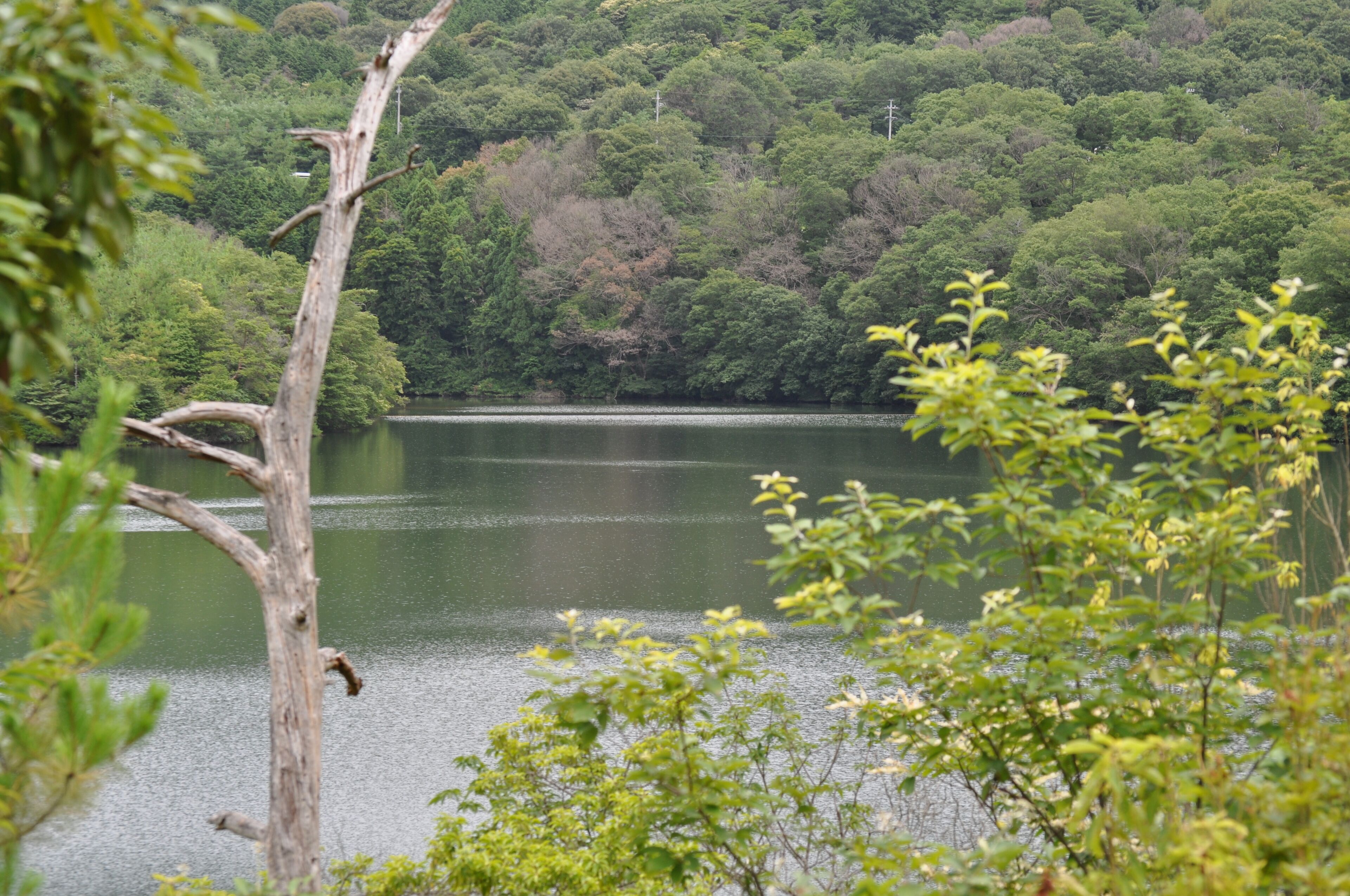 春日井市築水池