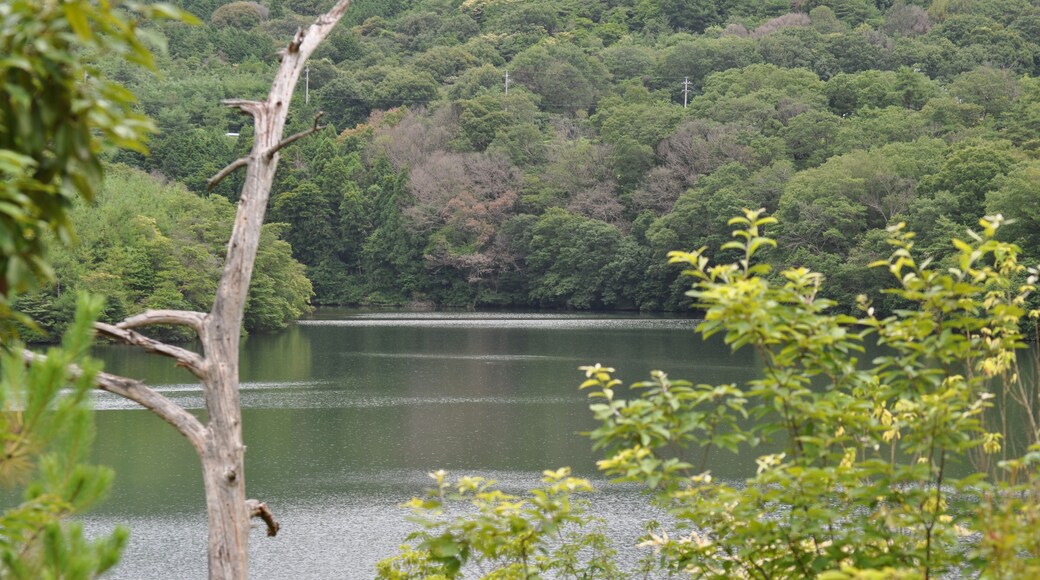 春日井市築水池