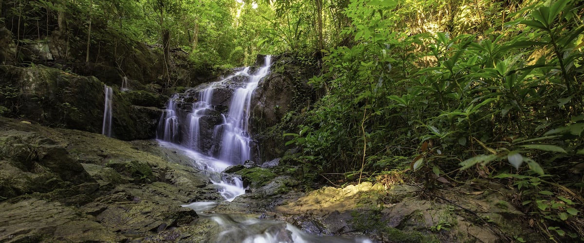 Tonsai waterfall in Phuket South of Thailand; Shutterstock ID 662892919; Purchase Order: SP-2378; Order Number: Vietnam/Phuket Go Guides Dec 19; Client/Licensee: Hotels.com - Lee Ban Twan; Job: Hotels