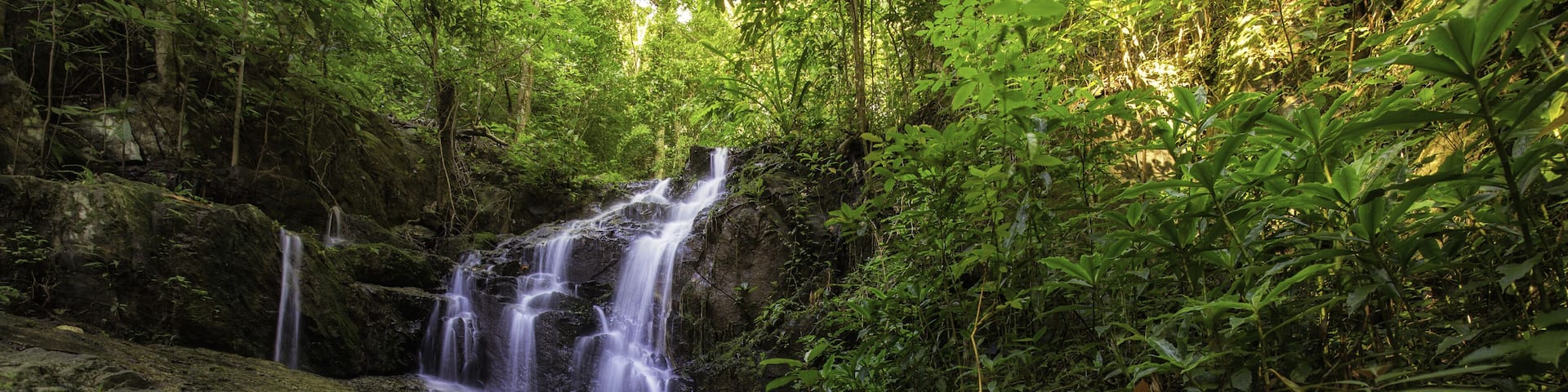 Tonsai waterfall in Phuket South of Thailand; Shutterstock ID 662892919; Purchase Order: SP-2378; Order Number: Vietnam/Phuket Go Guides Dec 19; Client/Licensee: Hotels.com - Lee Ban Twan; Job: Hotels