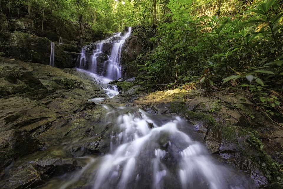 A waterfall in a forested area with rocky terrain and lush greenery.