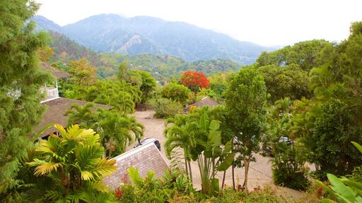 Irish Town showing forests, a luxury hotel or resort and tropical scenes