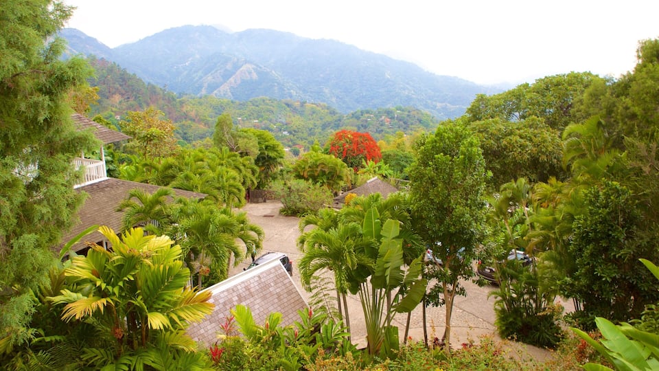 A lush green landscape with a variety of tropical plants and trees, a few houses with thatched roofs, and a mountain range in the background.