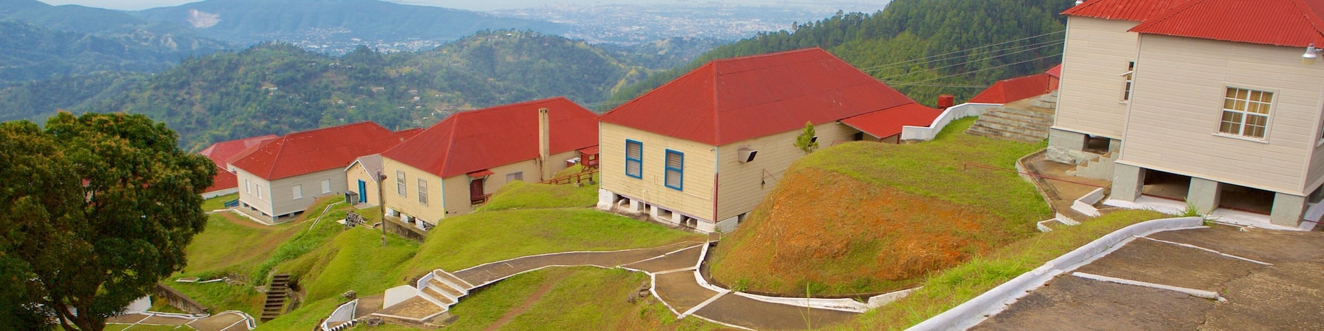 アイリッシュ タウン