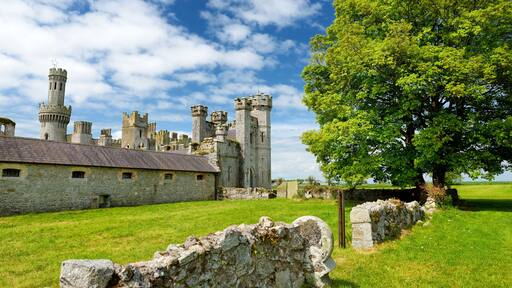 The towers and turrets of Ducketts Grove, a ruined 19th-century great house in County Carlow, Ireland.