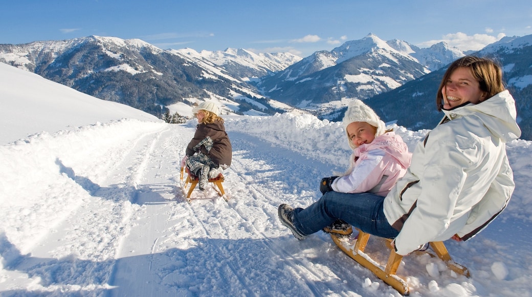 スキー ジュエル アルプバッハタール ヴィルトシェーナウ フィーチャー スノー チューブ, 雪 と 山々