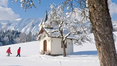 A snow-covered church with a wooden door and a snow-covered tree in the foreground.