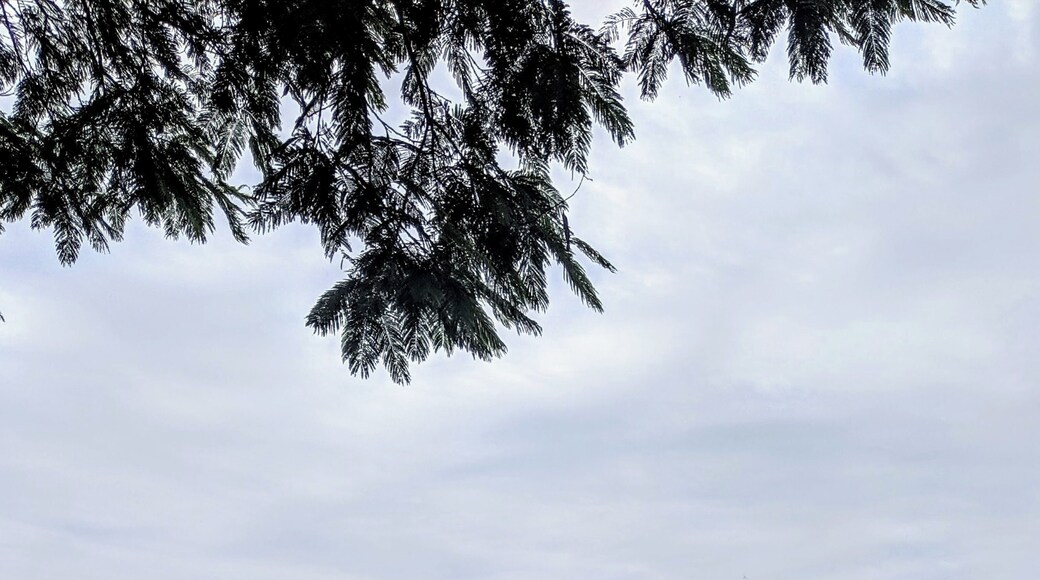 A prehispanic archaeological site near the Mexican town of Teuchitlán. Cylindrical pyramids, thd word Teuchitlán is derived from Teotzitlán or Teutzitlán interpreted as "place dedicated to the divine", "place of the God Tenoch " or "place dedicated to the revered God". #History