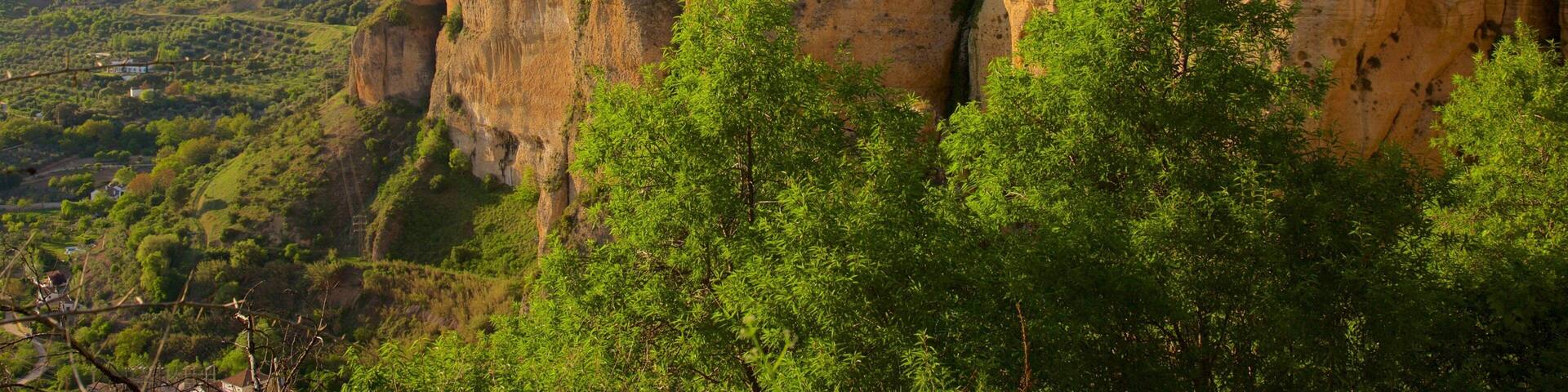 A cliffside with buildings perched on top, overlooking a valley.