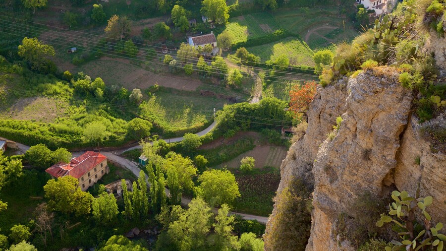 El Tajo Gorge showing farmland