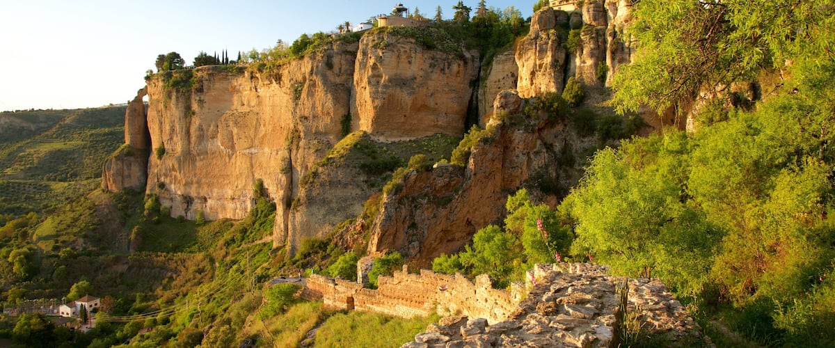 Cañón de El Tajo ofreciendo un cañón o garganta y tierra de cultivo