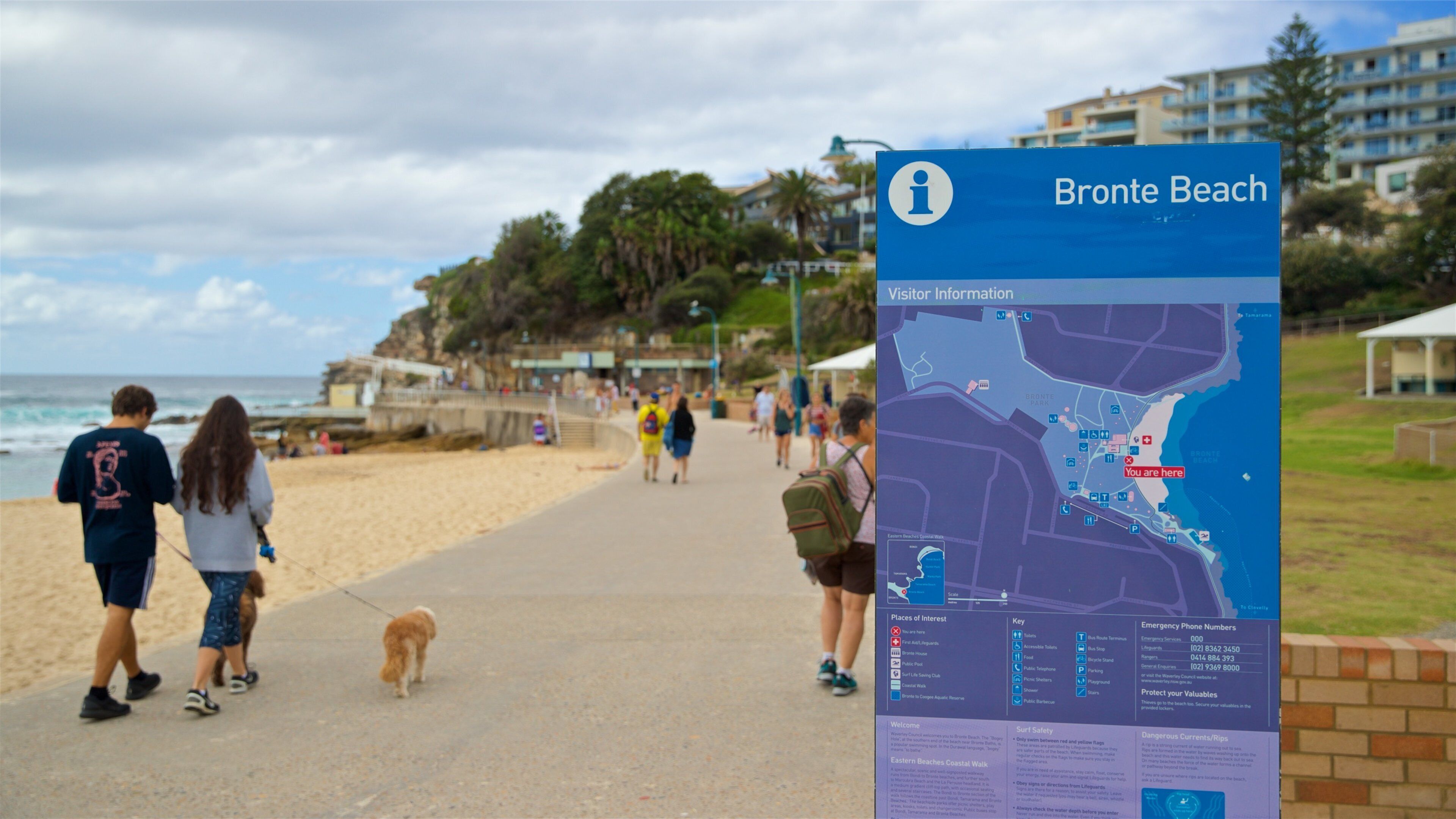 Bronte Beach featuring hiking or walking, cuddly or friendly animals and general coastal views