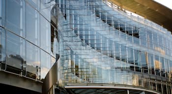 Star Casino caracterizando arquitetura moderna