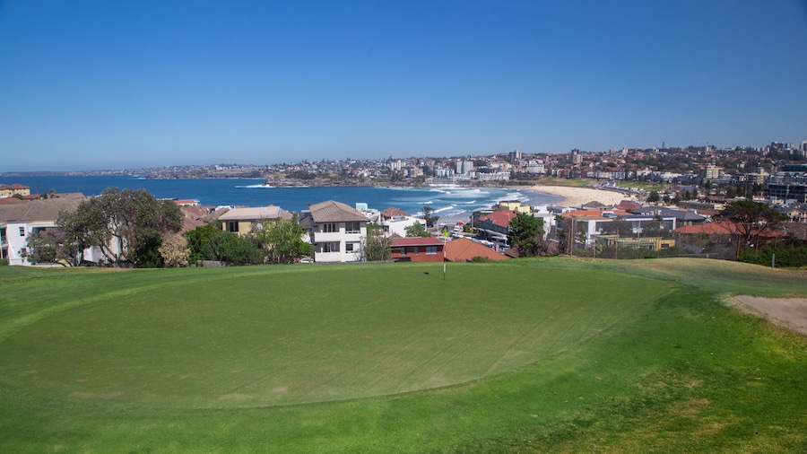 Bondi Golf Club showing a coastal town, golf and general coastal views