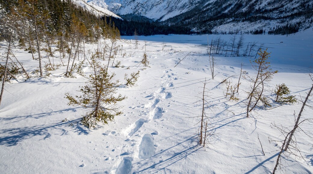 Parque Nacional Gaspesie