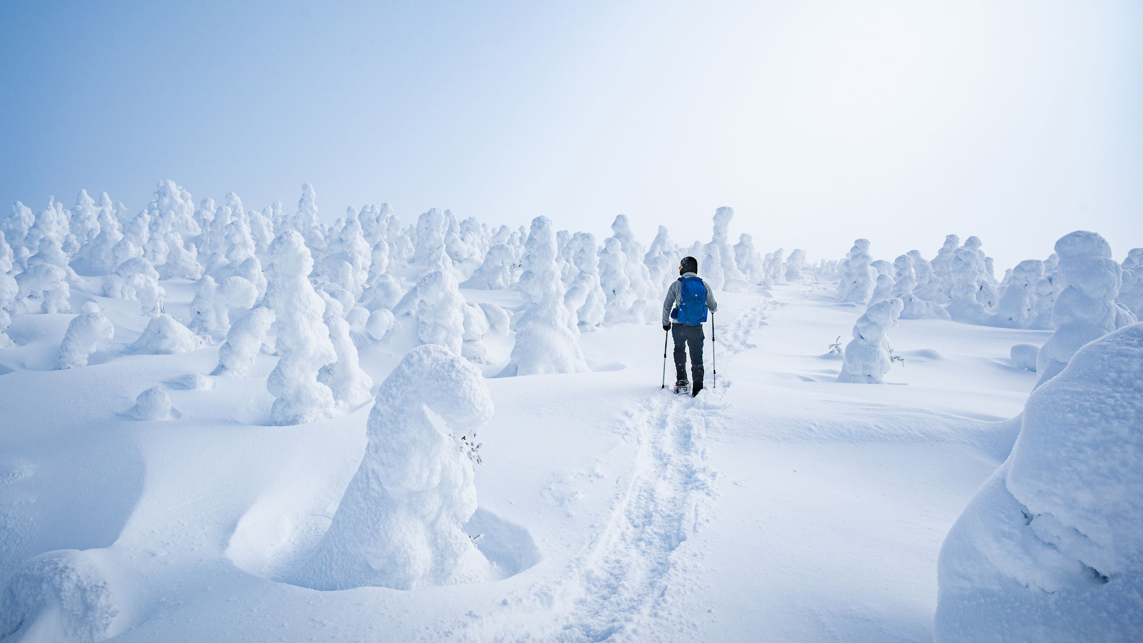 Parque Nacional Gaspesie