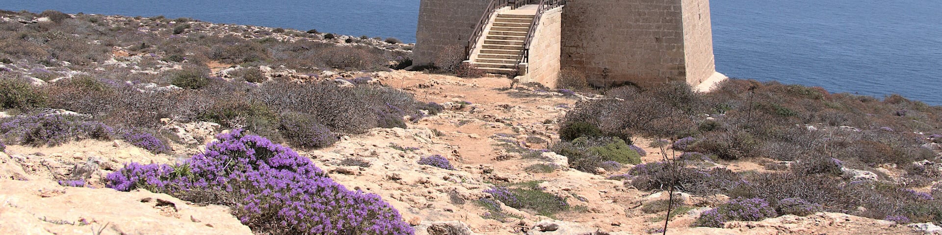 A stone tower with a staircase leading up to a door, overlooking a coastal landscape with sparse vegetation and purple flowers.