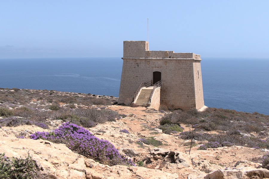 Una torre de piedra con una escalera que conduce a una puerta, con vistas a un paisaje costero de vegetación escasa y flores púrpuras.
