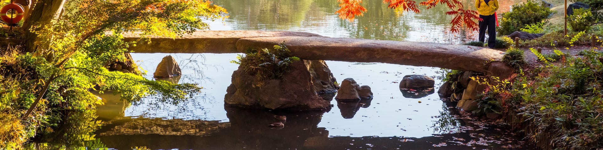 紅葉の六義園 渡月橋の風景