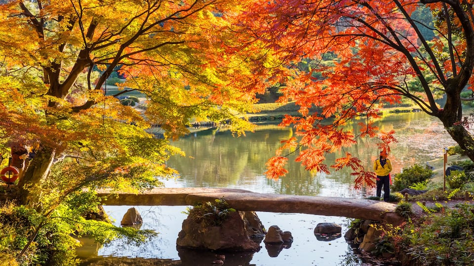 Paisagem outonal tranquila com um lago, folhagem vibrante em tons de vermelho e amarelo, e uma pessoa em uma ponte.