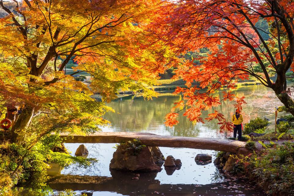 A serene autumn landscape with a pond, vibrant red and yellow foliage, and a person standing on a bridge.
