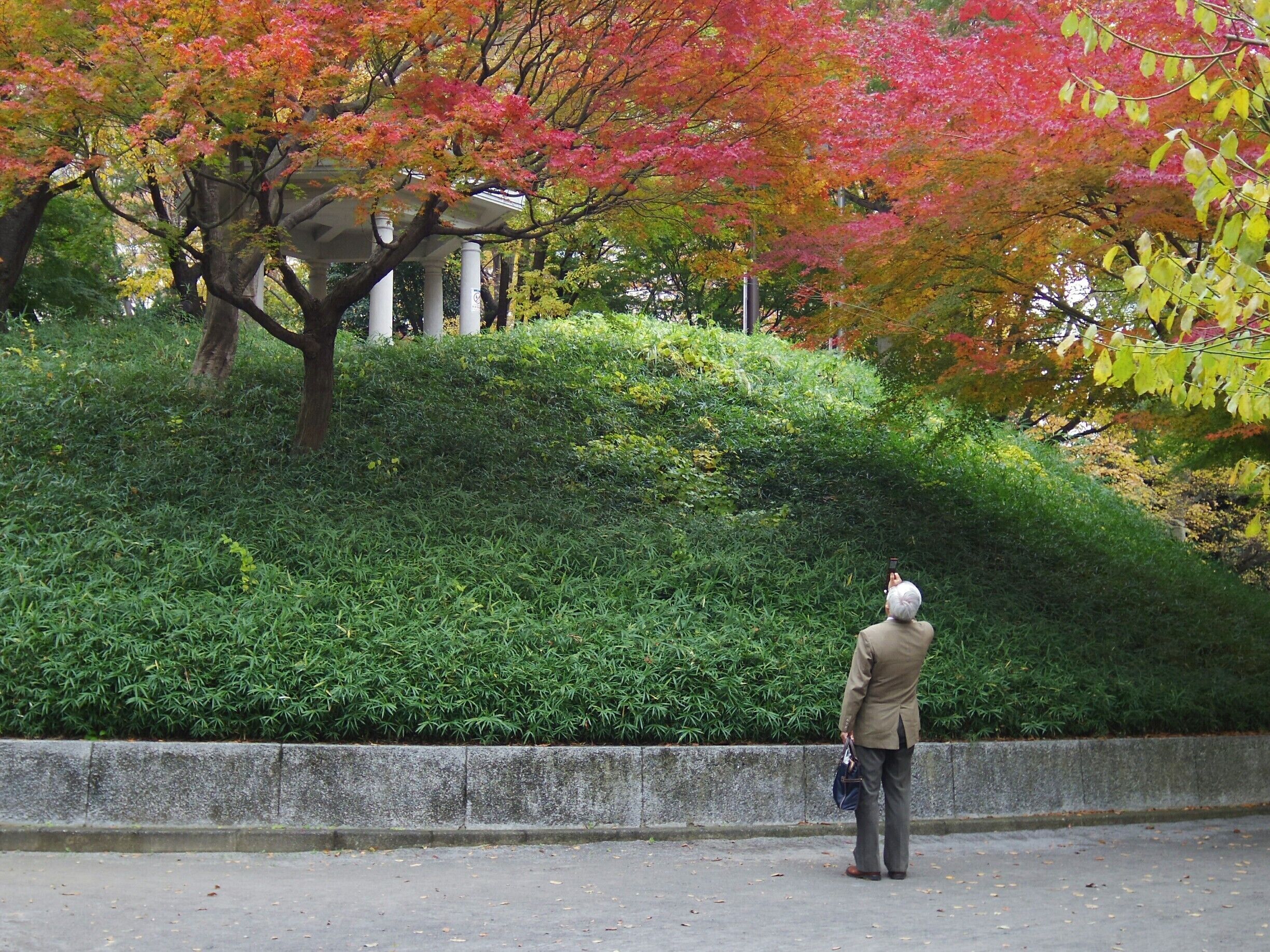 Shinjuku Central Park is located right behind the Tokyo Metropolitan Government Building and the west Shinjuku business district. It is currently a beautiful gradation of fall colors and no one can resist taking a photo.

*The park has several outdoor exercise equipments and around noon, you can see business men in their suits casually stretching and working out during their lunch break :)
