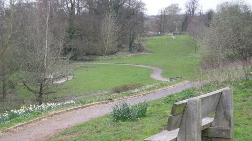 Path through the park