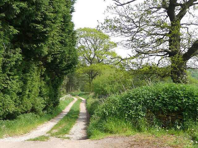 Bridleway, Kingswood, Staffordshire This is by the last house where the surfaced road ends and the bridleway continues towards Simmond's Wood.
