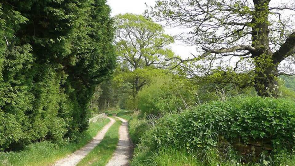Bridleway, Kingswood, Staffordshire This is by the last house where the surfaced road ends and the bridleway continues towards Simmond's Wood.