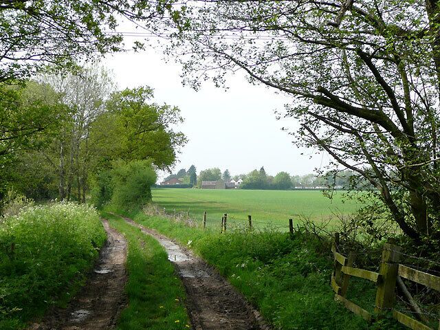 Bridleway to Kingswood, Staffordshire Kingswood Bank Farm is in view beyond the cereal crop fields. The bridleway has come from The Bradshaws.