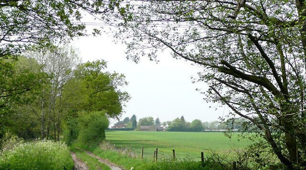 Bridleway to Kingswood, Staffordshire Kingswood Bank Farm is in view beyond the cereal crop fields. The bridleway has come from The Bradshaws.