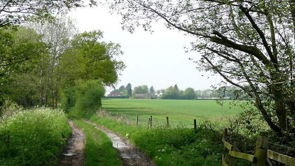 Bridleway to Kingswood, Staffordshire Kingswood Bank Farm is in view beyond the cereal crop fields. The bridleway has come from The Bradshaws.