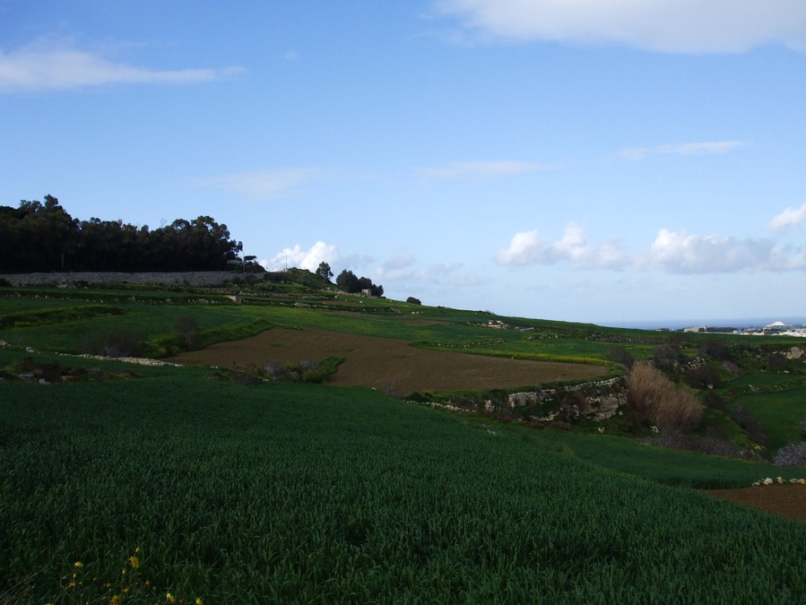 Mtarfa