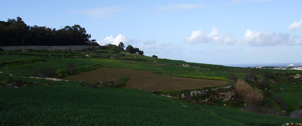 A green field with a stone wall and a distant view of the sea.