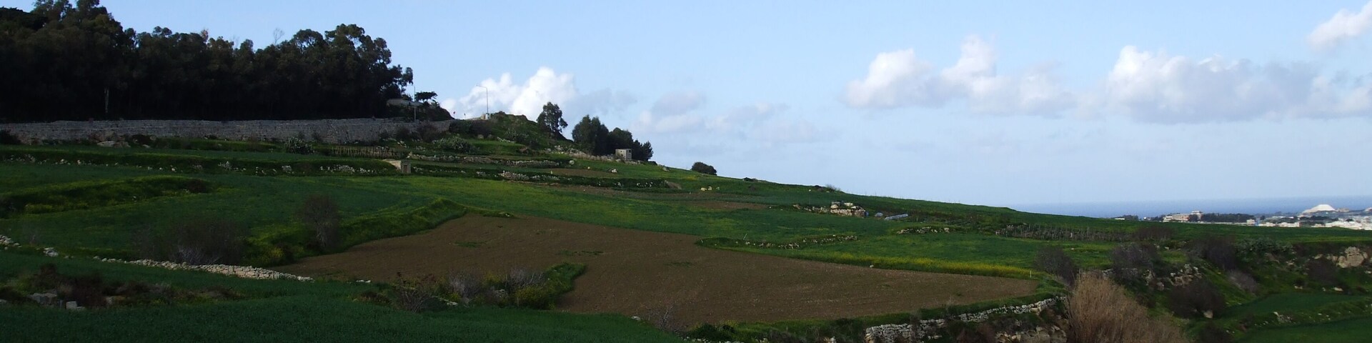 A green field with a stone wall and a distant view of the sea.