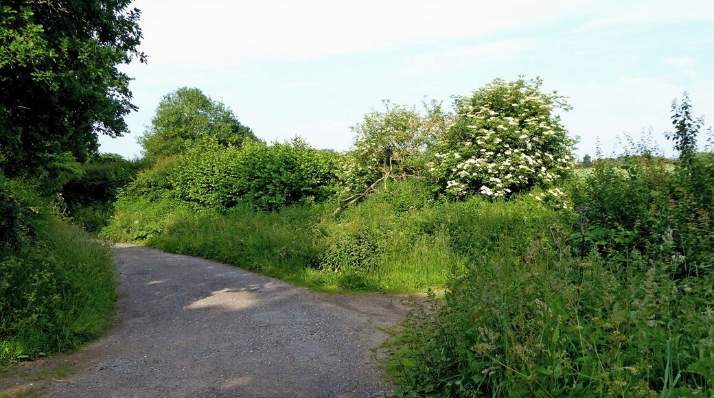 Hyde Mill Lane south-west of Brewood in Staffordshire