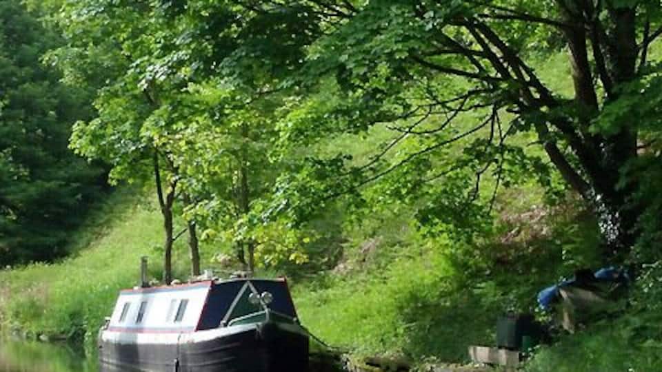 Een smalboot afgemeerd aan een rivieroever, omringd door weelderige begroeiing en bomen.