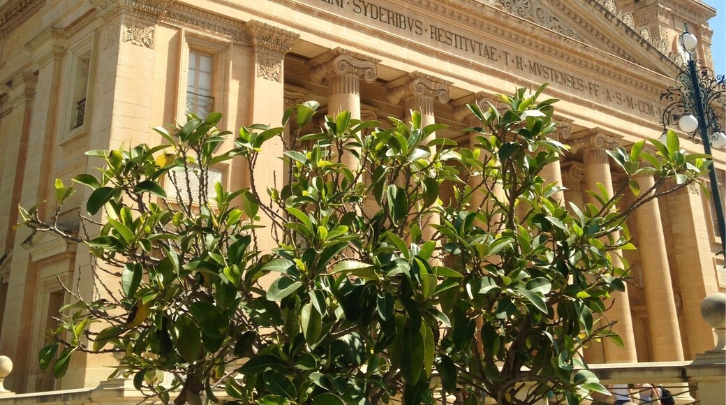 The Rotunda of Mosta, Malta
#green