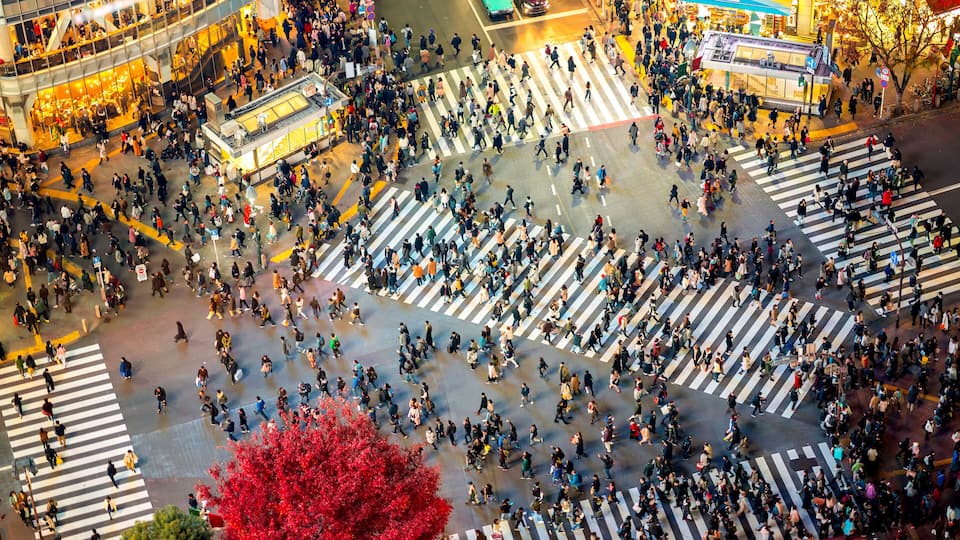 Shibuya Crossing, Tokyo, Japan