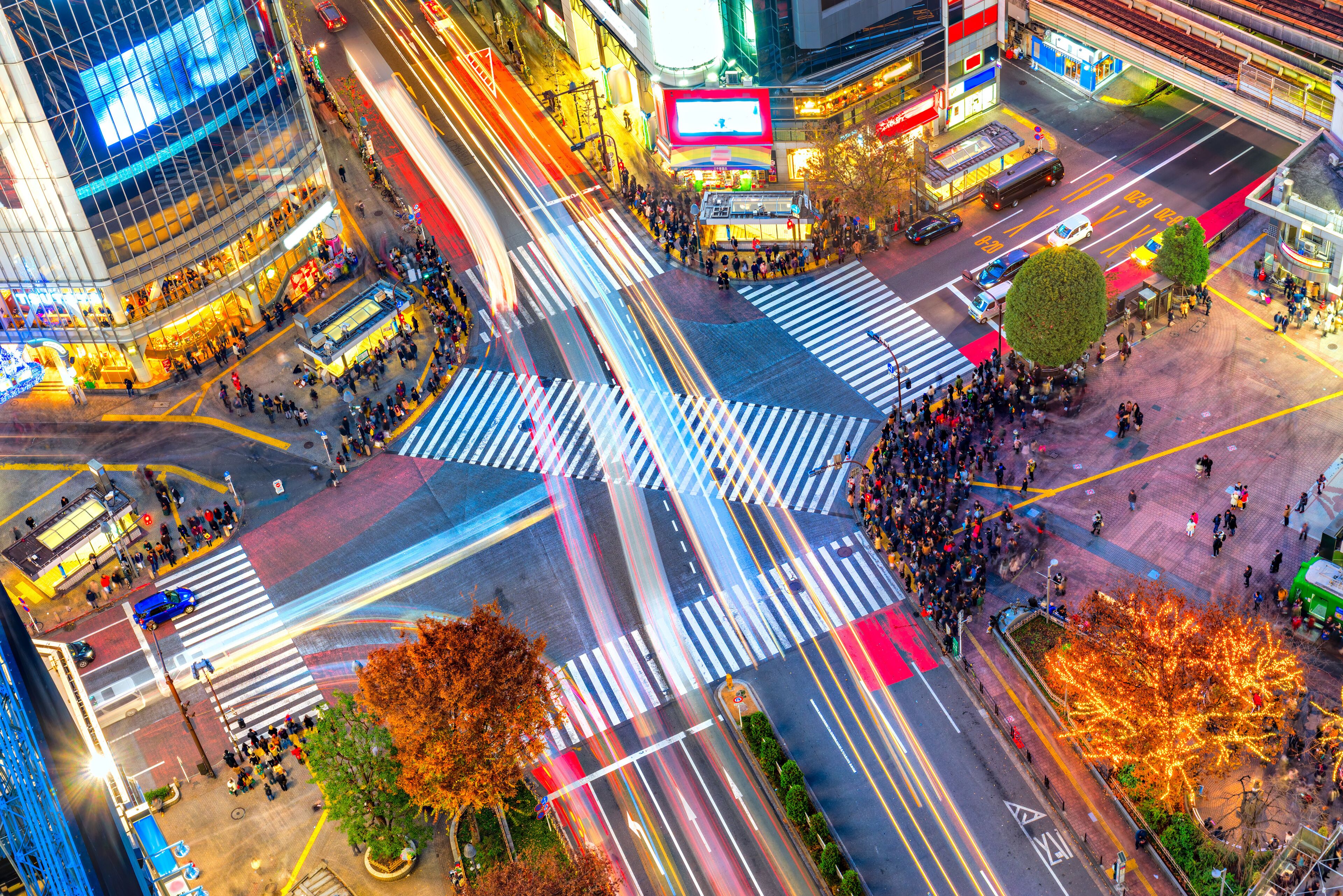 Shibuya Crossing Tours - Book Now | Expedia
