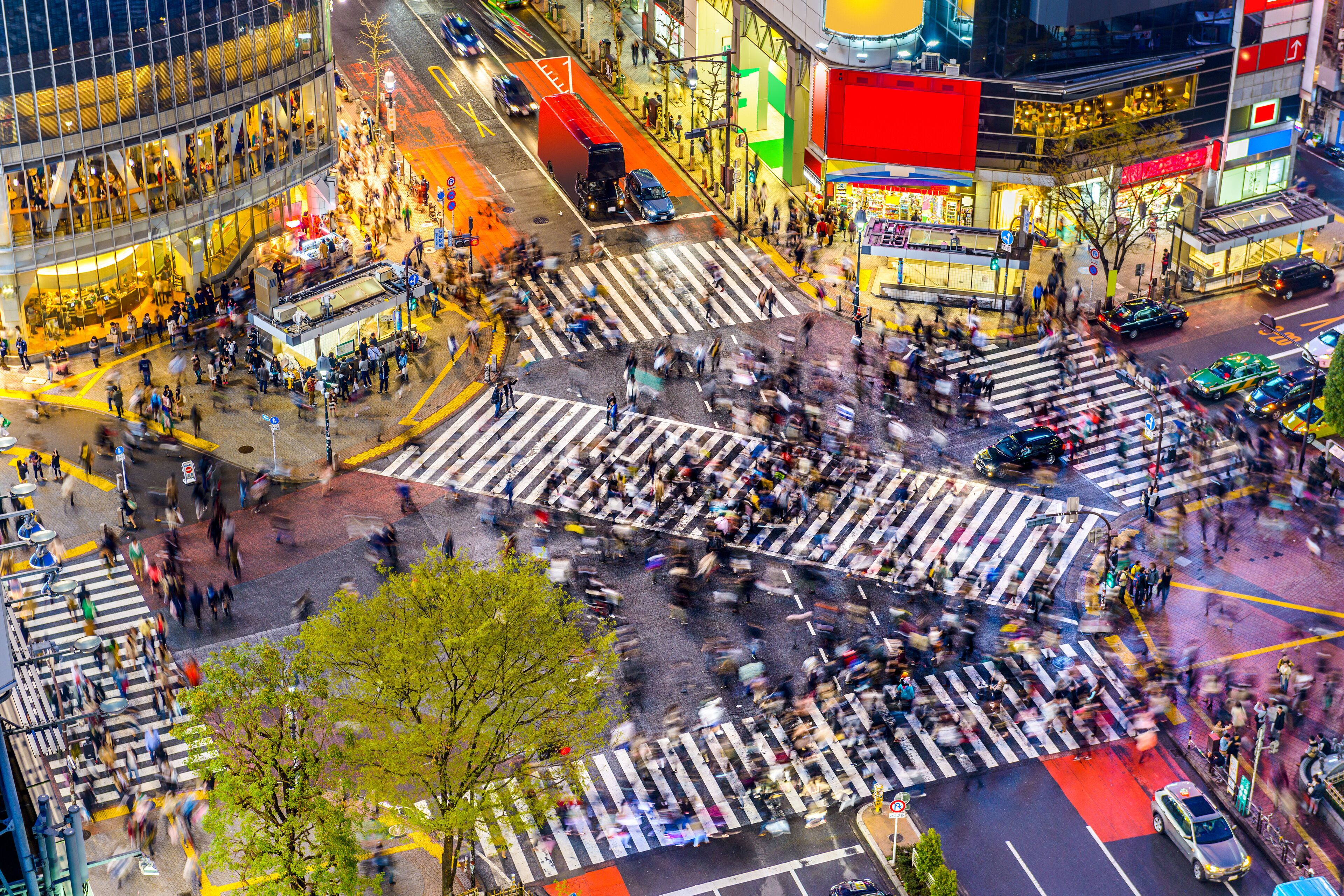 Shibuya Crossing in Shibuya - Tours and Activities | Expedia.ca