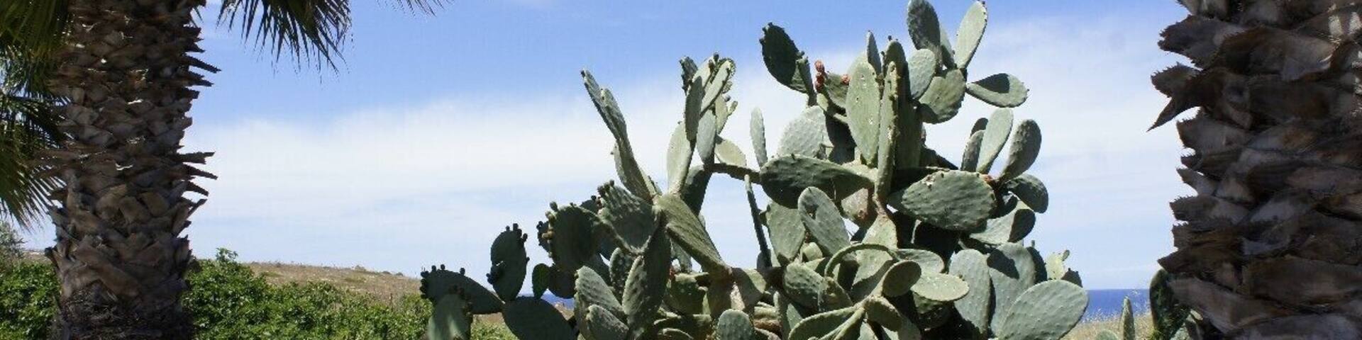 Nice view outside Pembroke, Malta