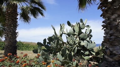 Nice view outside Pembroke, Malta
