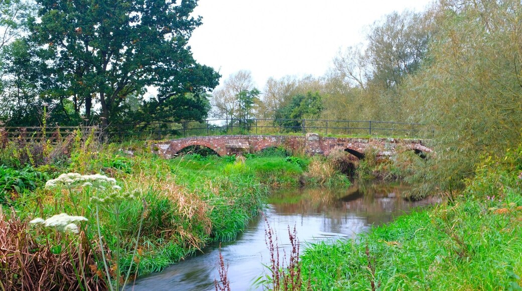A listed building across the river built in the 15th century