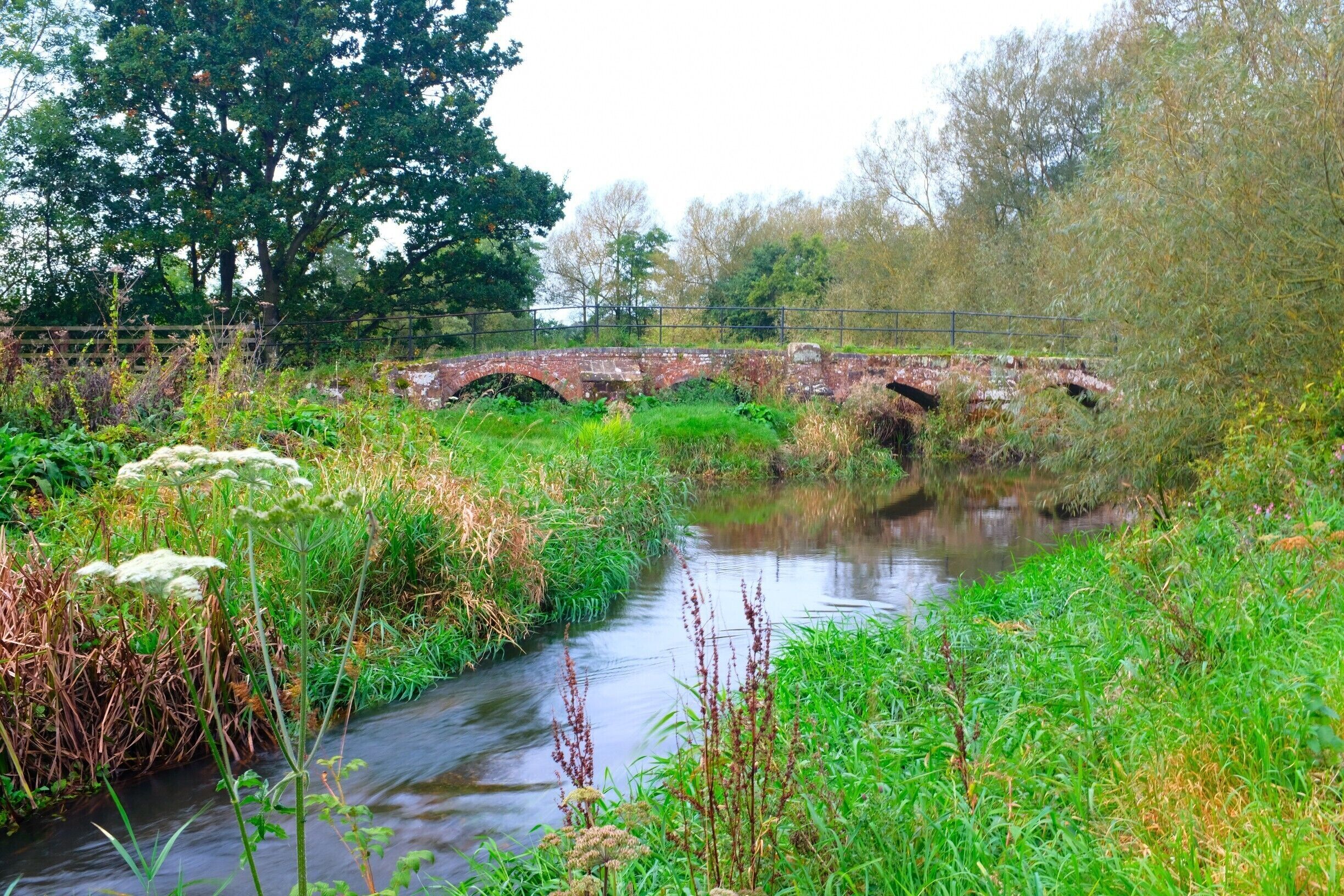 A stone bridge over a narrow stream surrounded by lush greenery and trees.