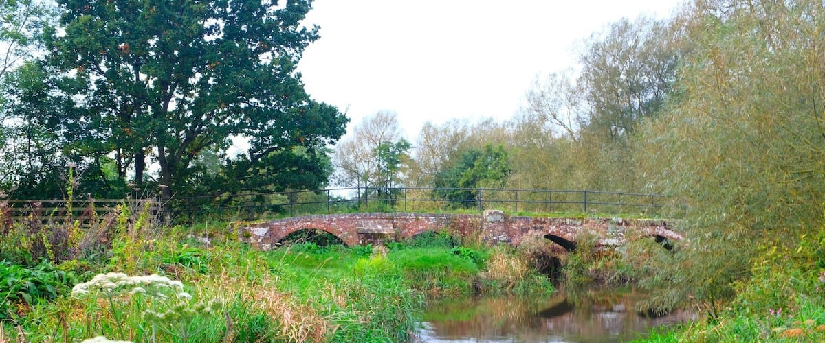 A stone bridge over a narrow stream surrounded by lush greenery and trees.