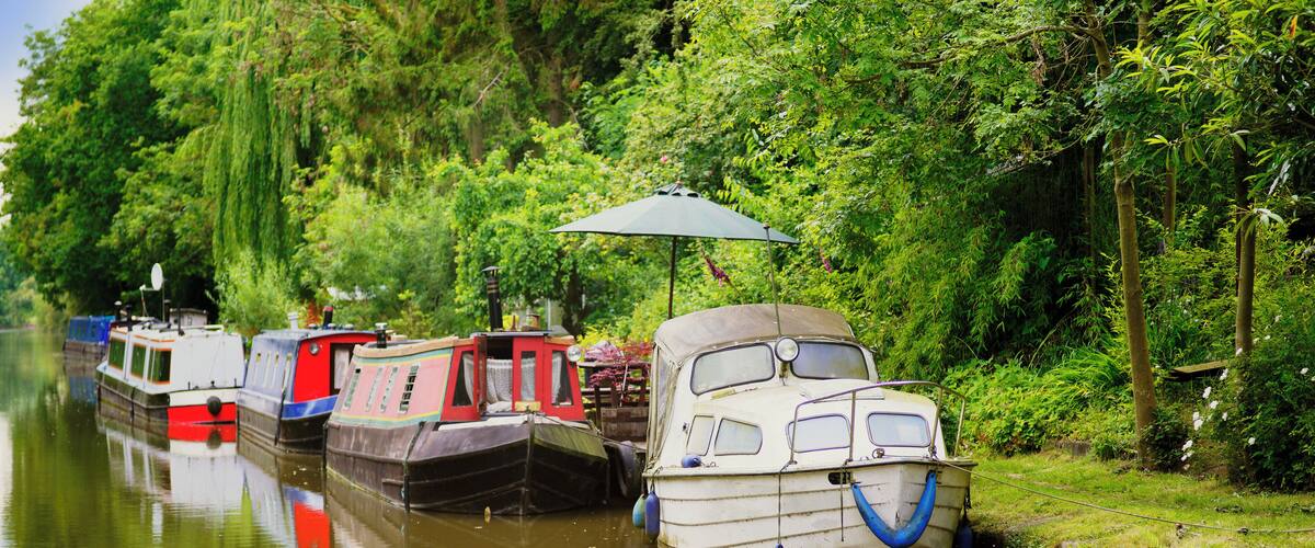 A row of boats docked along a riverbank, surrounded by lush greenery.