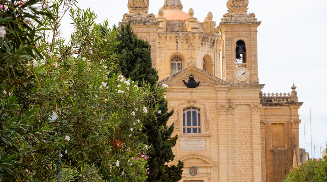 Lija